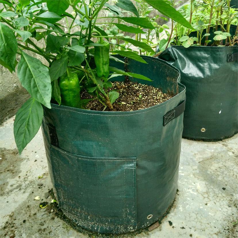 Potato Grow Bag with Harvest Window and Handles by HitMyNeed