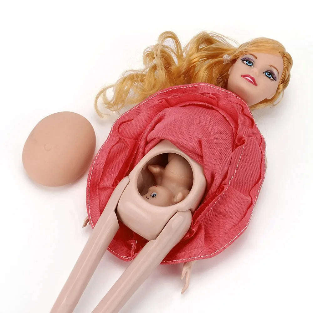 Pregnancy Doll Set with Baby for Educational Play by HitMyNeed