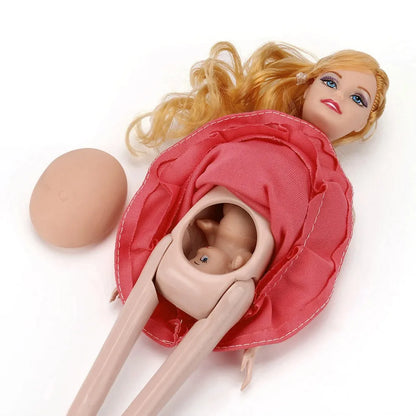 Pregnancy Doll Set with Baby for Educational Play by HitMyNeed