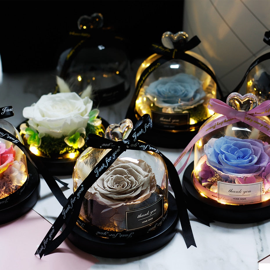 Preserved Rose Light-Up Glass Dome Gift by HitMyNeed
