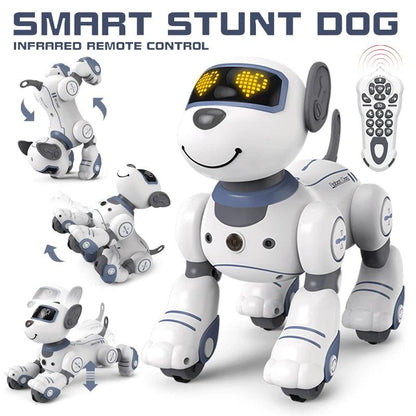 Programmable RC Robot Dog with Voice & Music by HitMyNeed