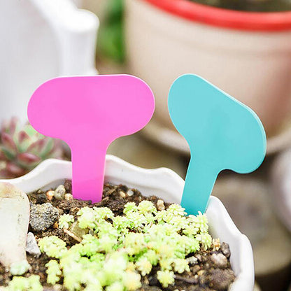 PVC T-Type Garden Plant Labels by HitMyNeed