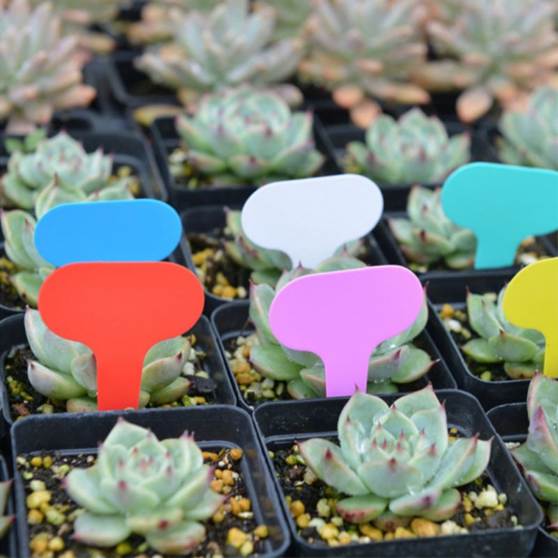 PVC T-Type Garden Plant Labels by HitMyNeed