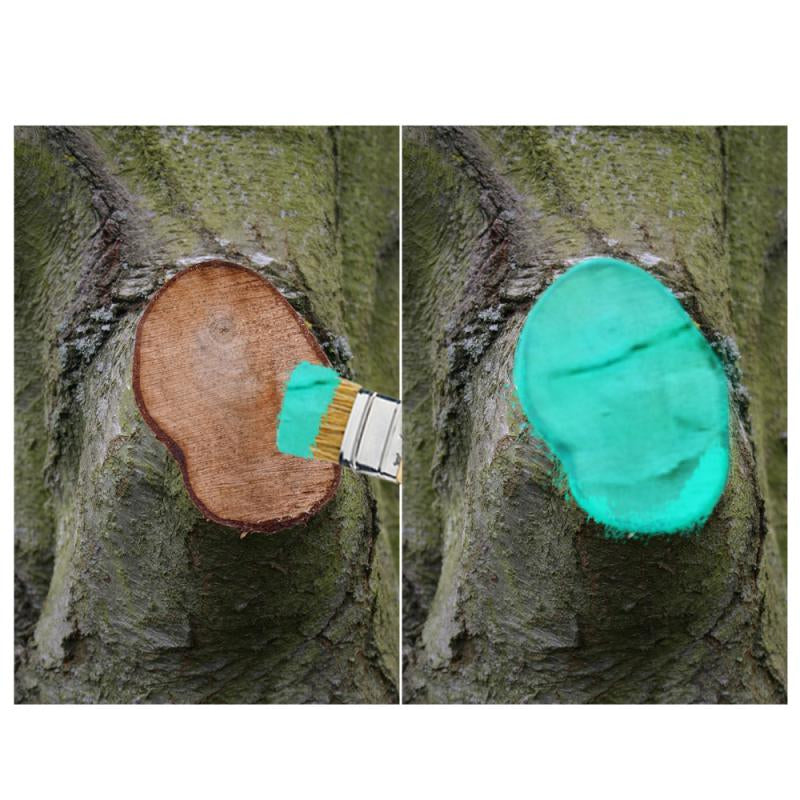 Quick Dry Tree Wound Sealer 30g with Brush by HitMyNeed
