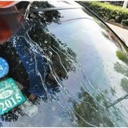 Rain Repellent Windshield & Glass Treatment by HitMyNeed