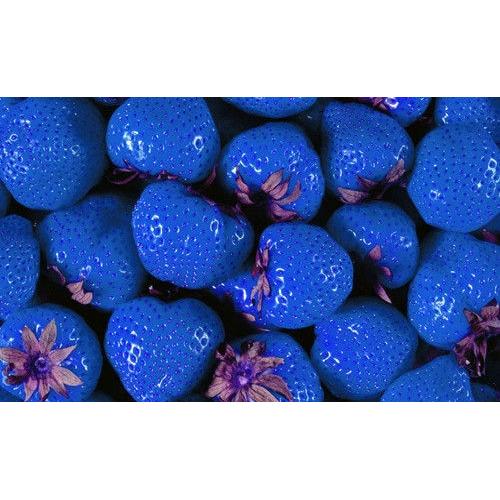 Rare Blue Strawberry Seeds (100 PCS Bonsai Variety) by HitMyNeed