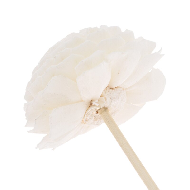 Rattan Flower Reed Diffusers Set of 5 by HitMyNeed