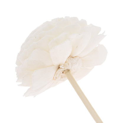 Rattan Flower Reed Diffusers Set of 5 by HitMyNeed
