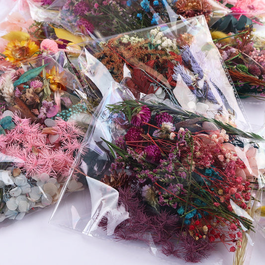Real Dried Flowers DIY Craft Supplies 20g by HitMyNeed
