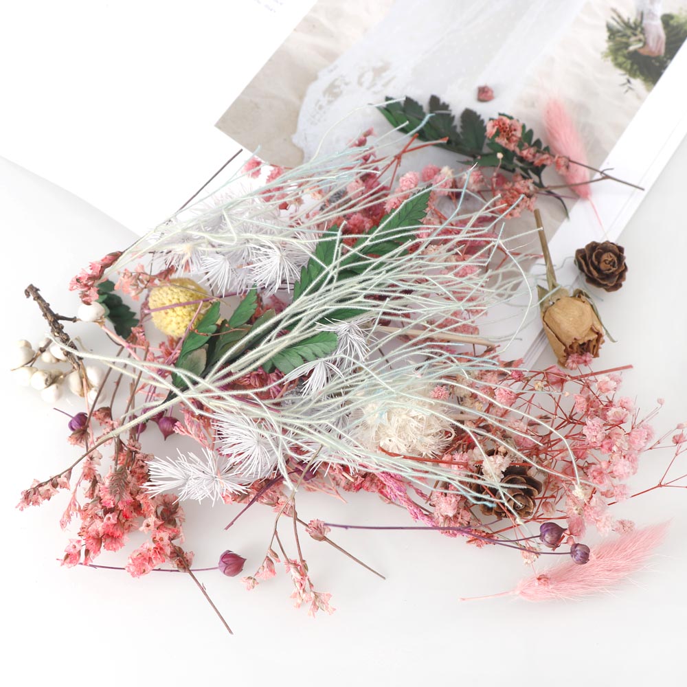 Real Dried Flowers DIY Craft Supplies 20g by HitMyNeed