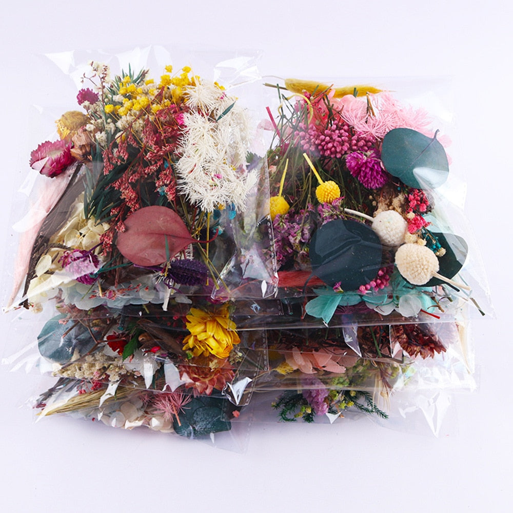 Real Dried Flowers DIY Craft Supplies 20g by HitMyNeed