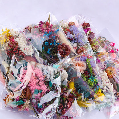 Real Dried Flowers DIY Craft Supplies 20g by HitMyNeed