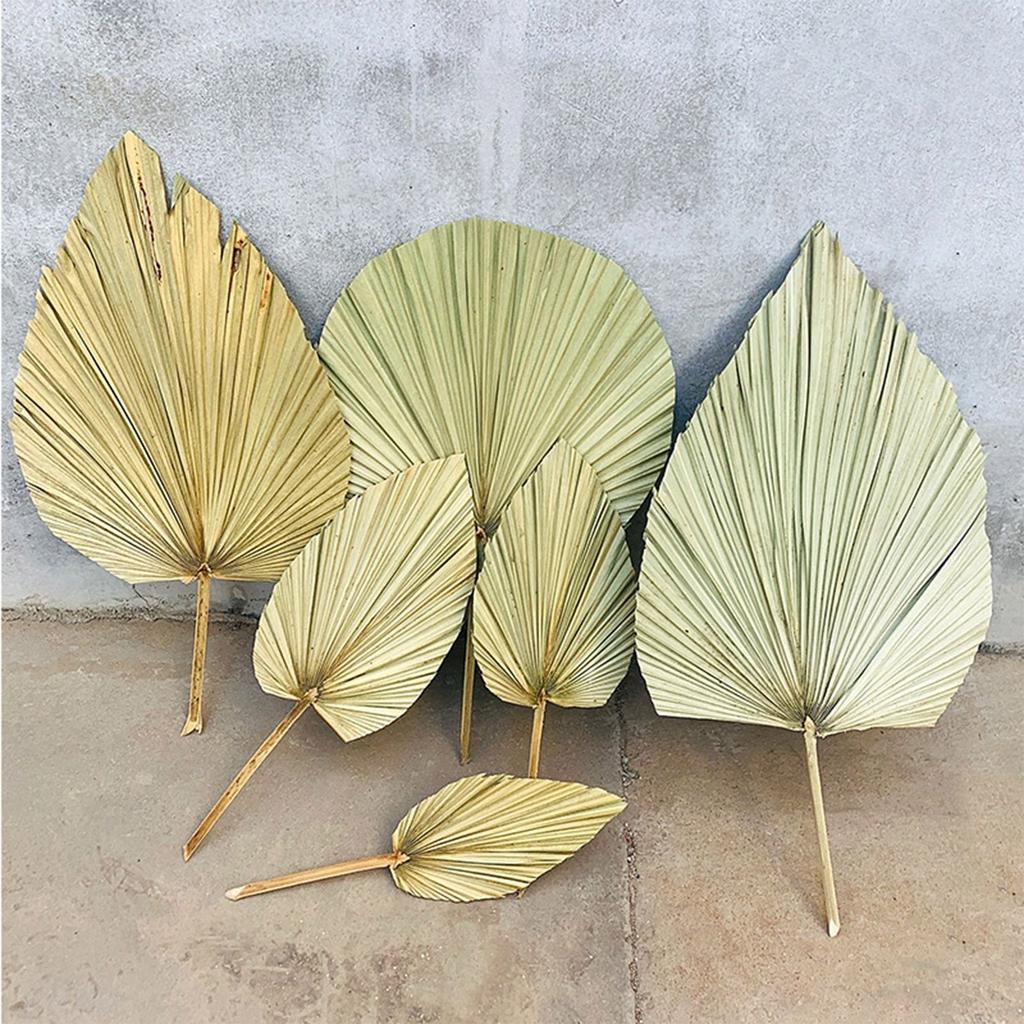 Real Natural Dried Palm Leaf Decor Stem by HitMyNeed