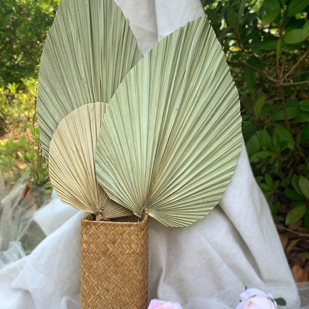 Real Natural Dried Palm Leaf Decor Stem by HitMyNeed