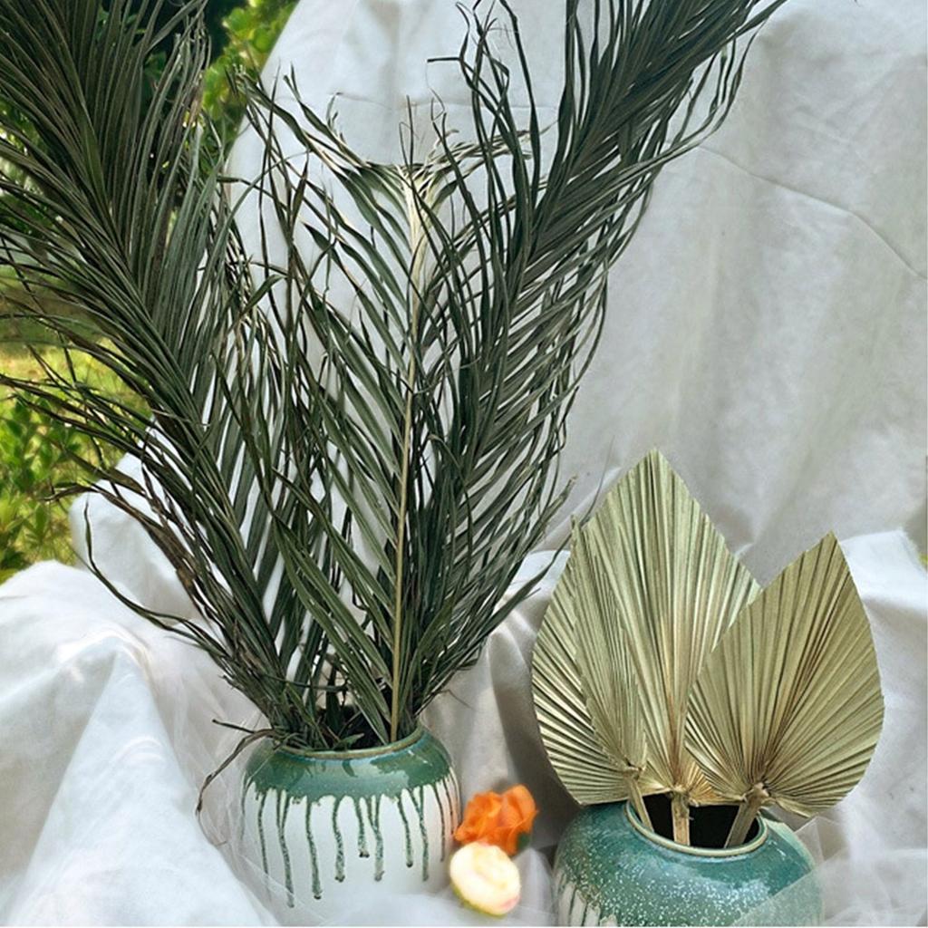 Real Natural Dried Palm Leaf Decor Stem by HitMyNeed