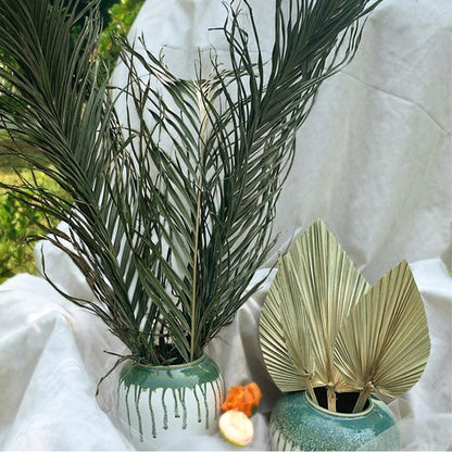 Real Natural Dried Palm Leaf Decor Stem by HitMyNeed