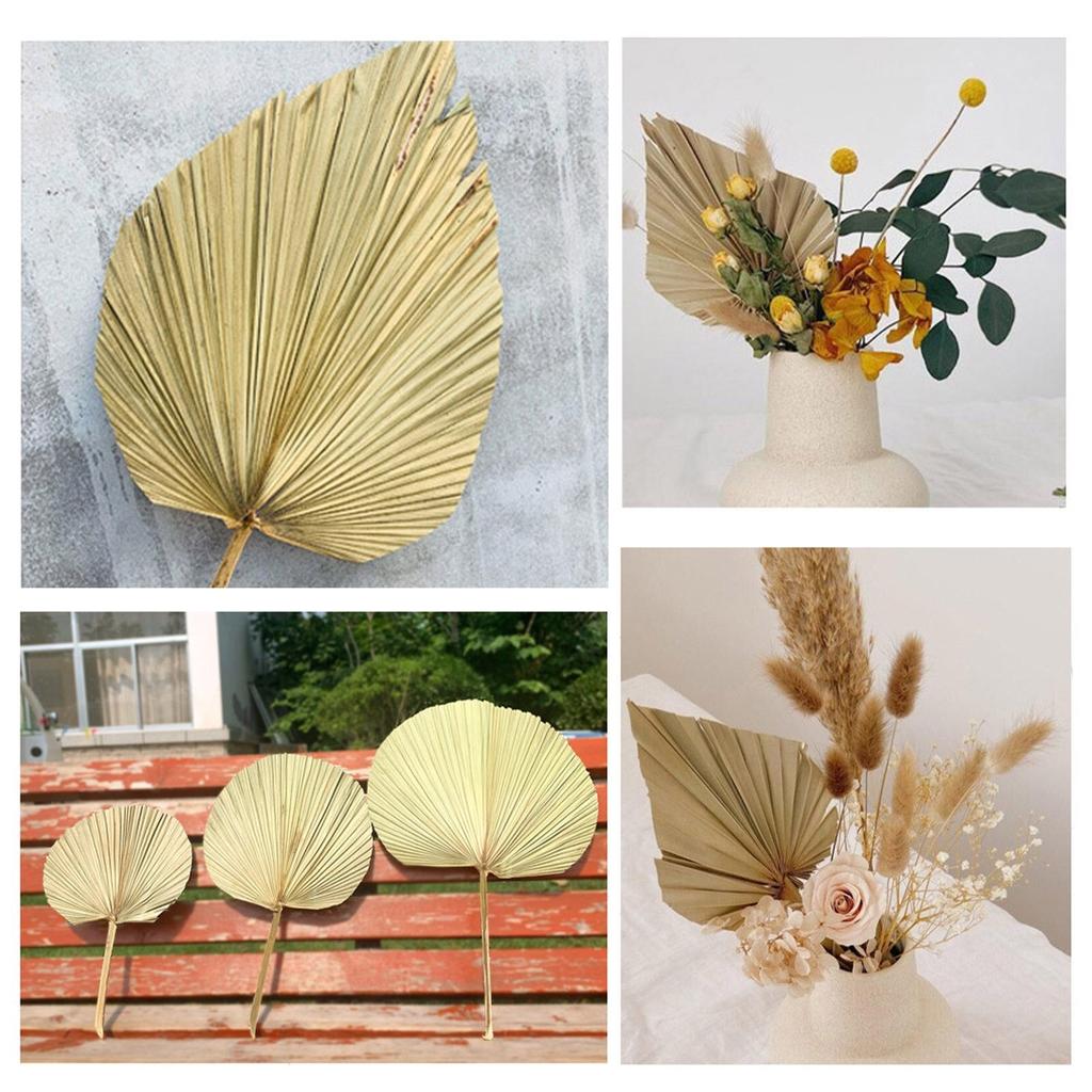 Real Natural Dried Palm Leaf Decor Stem by HitMyNeed