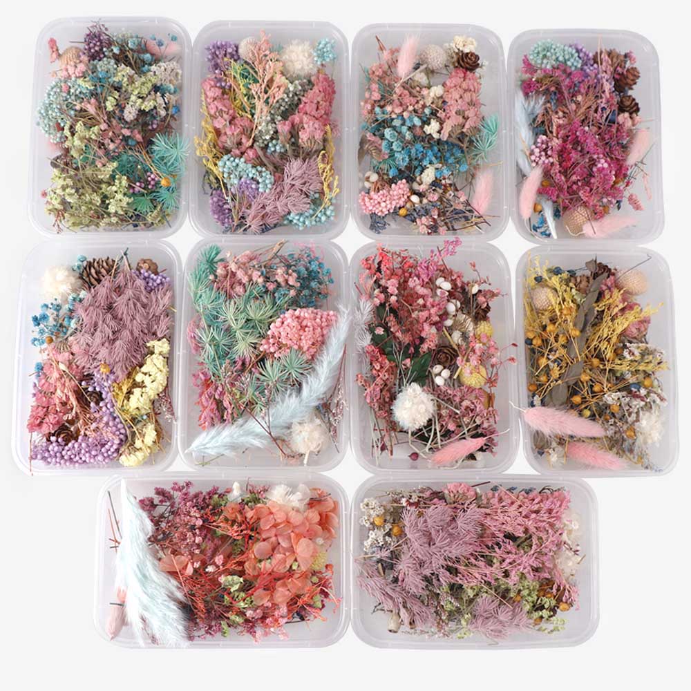 Real Natural Pressed Dried Flowers Set by HitMyNeed