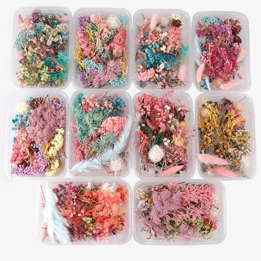 Real Natural Pressed Dried Flowers Set by HitMyNeed