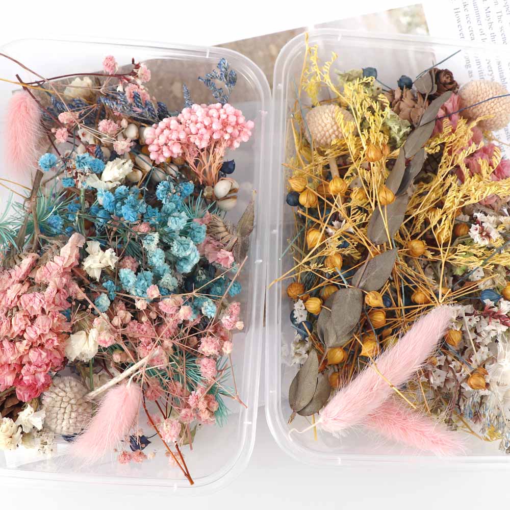 Real Natural Pressed Dried Flowers Set by HitMyNeed
