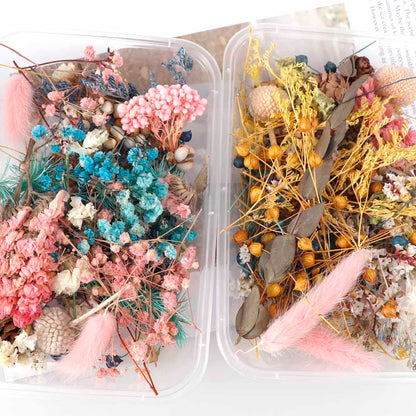 Real Natural Pressed Dried Flowers Set by HitMyNeed