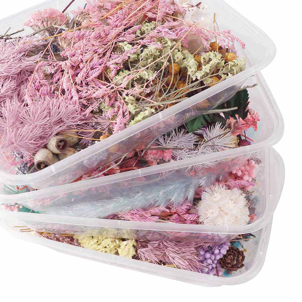 Real Natural Pressed Dried Flowers Set by HitMyNeed