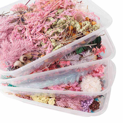 Real Natural Pressed Dried Flowers Set by HitMyNeed