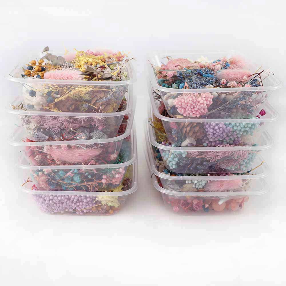 Real Natural Pressed Dried Flowers Set by HitMyNeed