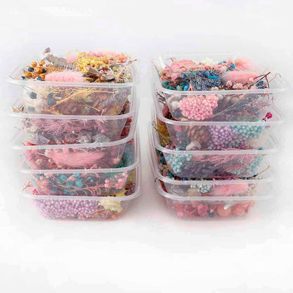 Real Natural Pressed Dried Flowers Set by HitMyNeed