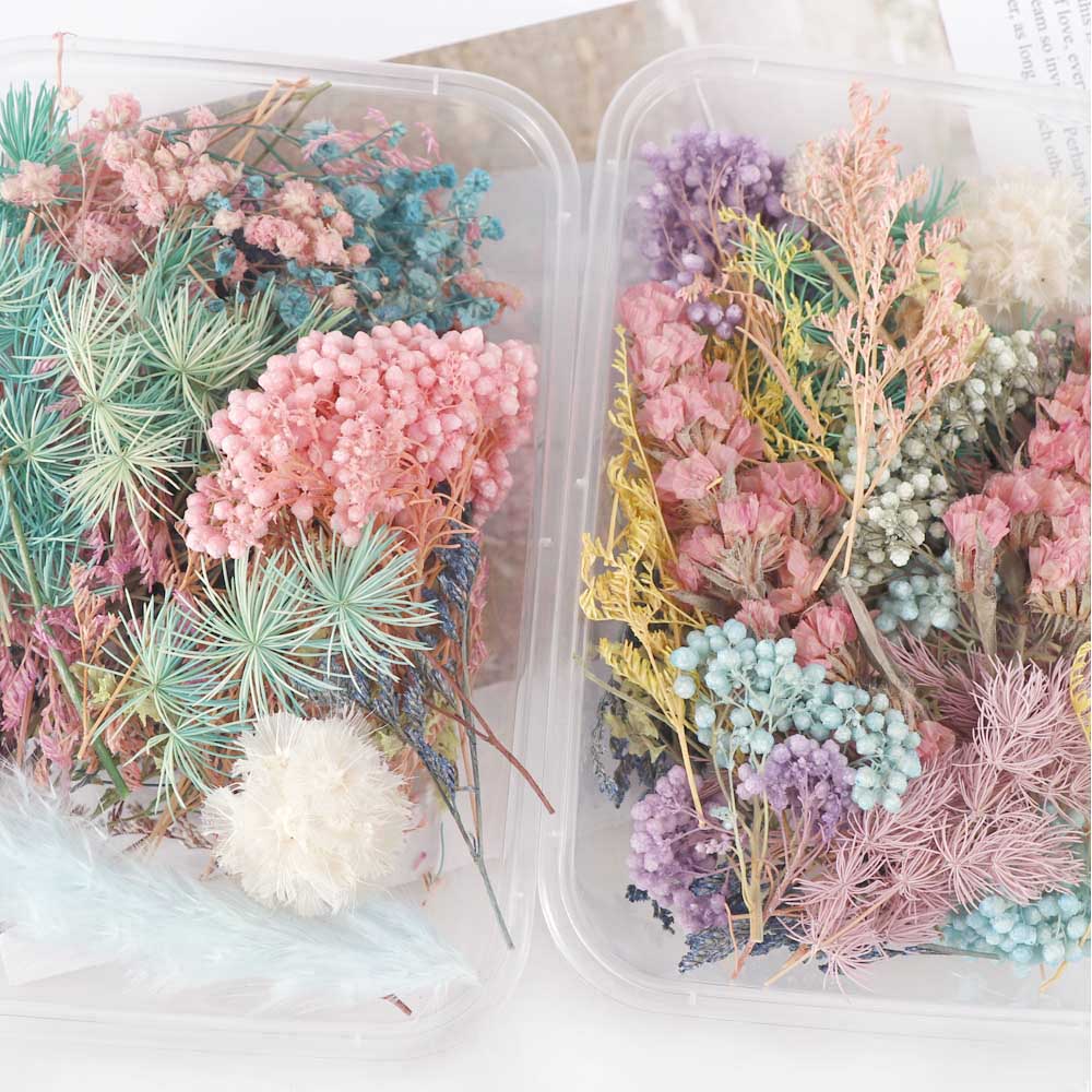 Real Natural Pressed Dried Flowers Set by HitMyNeed