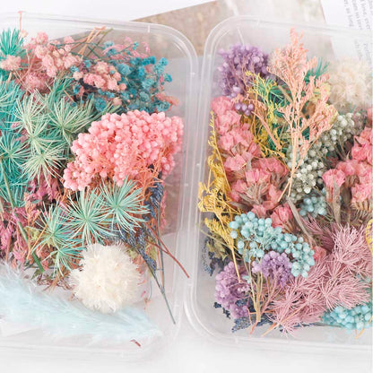 Real Natural Pressed Dried Flowers Set by HitMyNeed