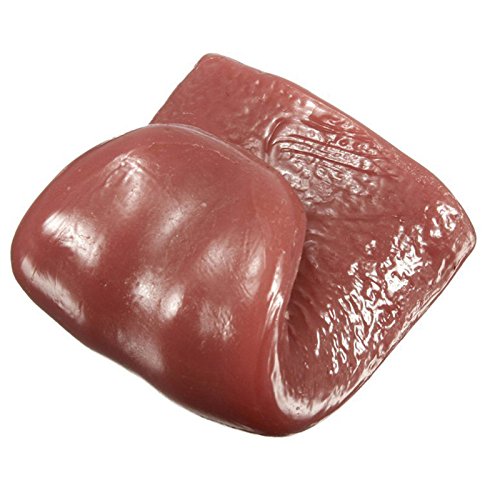 Realistic Fake Tongue Prank Toy for Magic Tricks by HitMyNeed