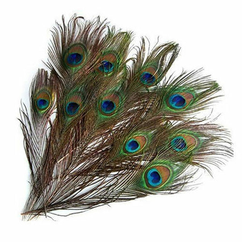 Realistic Peacock Feathers for Crafts, 10 Pack by HitMyNeed