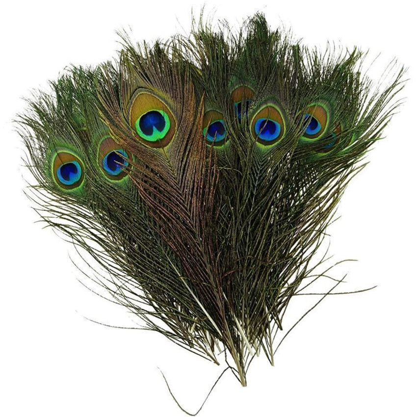 Realistic Peacock Feathers for Crafts, 10 Pack by HitMyNeed