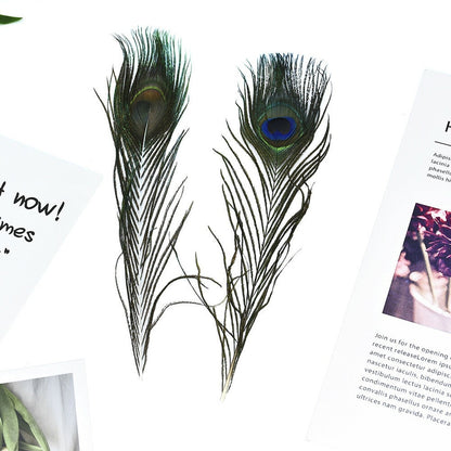 Realistic Peacock Feathers for Crafts, 10 Pack by HitMyNeed