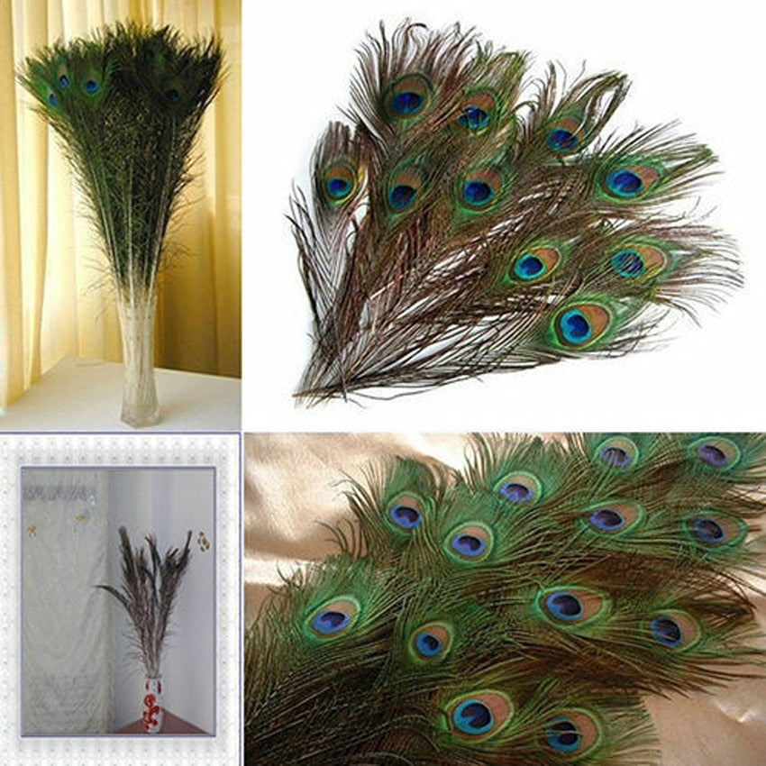 Realistic Peacock Feathers for Crafts, 10 Pack by HitMyNeed