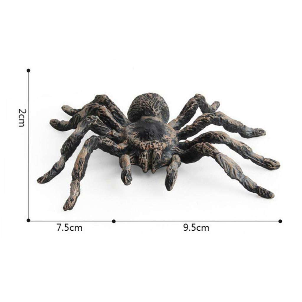 Realistic PVC Fake Tarantulas - Set of 2 by HitMyNeed