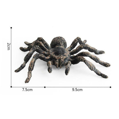 Realistic PVC Fake Tarantulas - Set of 2 by HitMyNeed