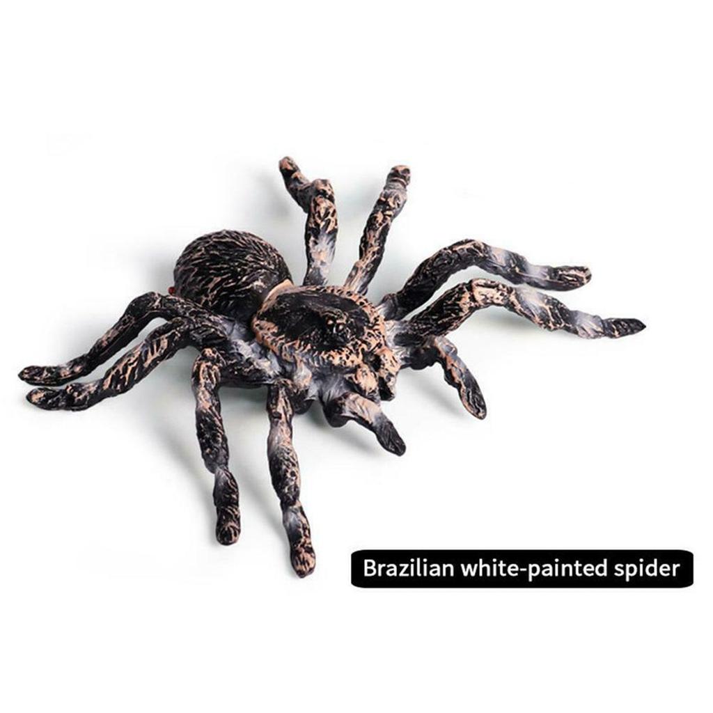 Realistic PVC Fake Tarantulas - Set of 2 by HitMyNeed