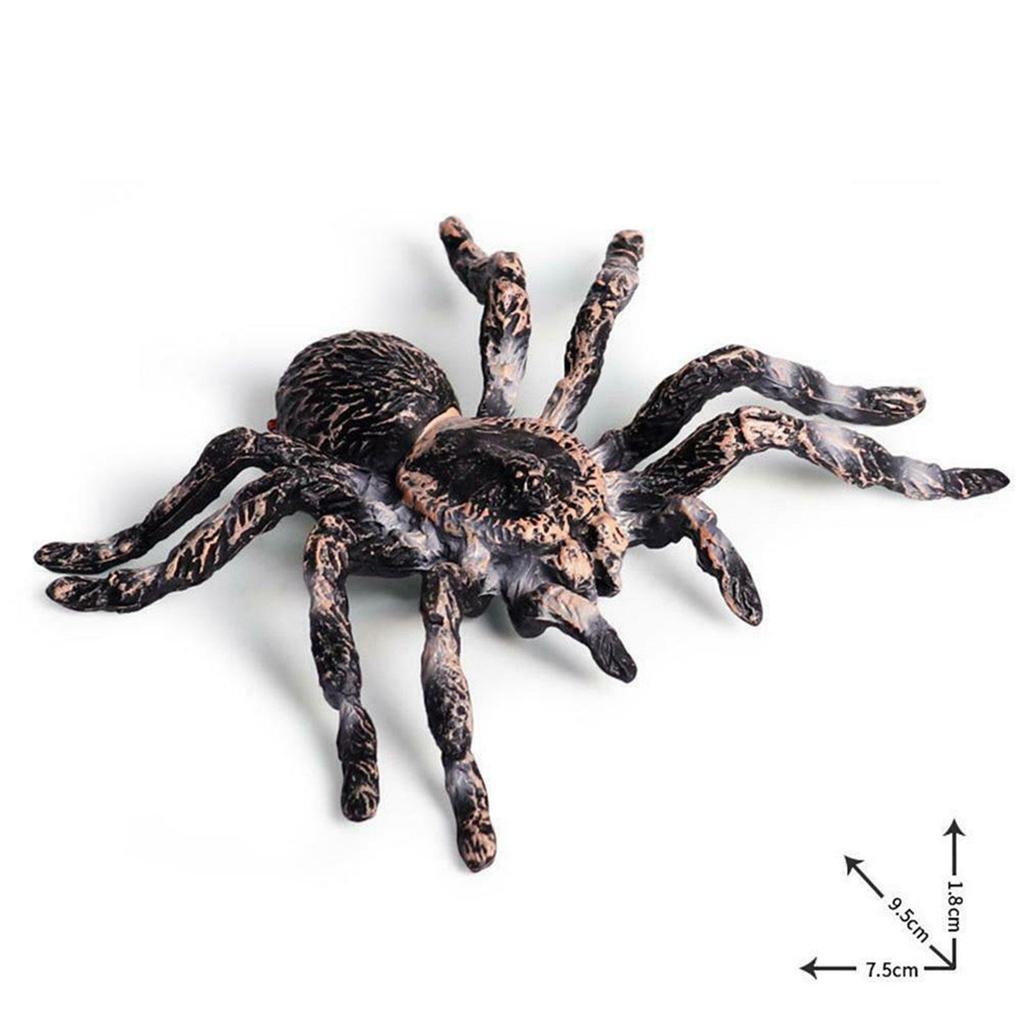 Realistic PVC Fake Tarantulas - Set of 2 by HitMyNeed