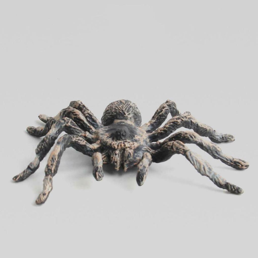 Realistic PVC Fake Tarantulas - Set of 2 by HitMyNeed
