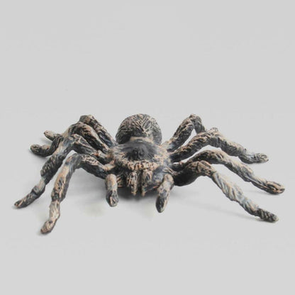 Realistic PVC Fake Tarantulas - Set of 2 by HitMyNeed