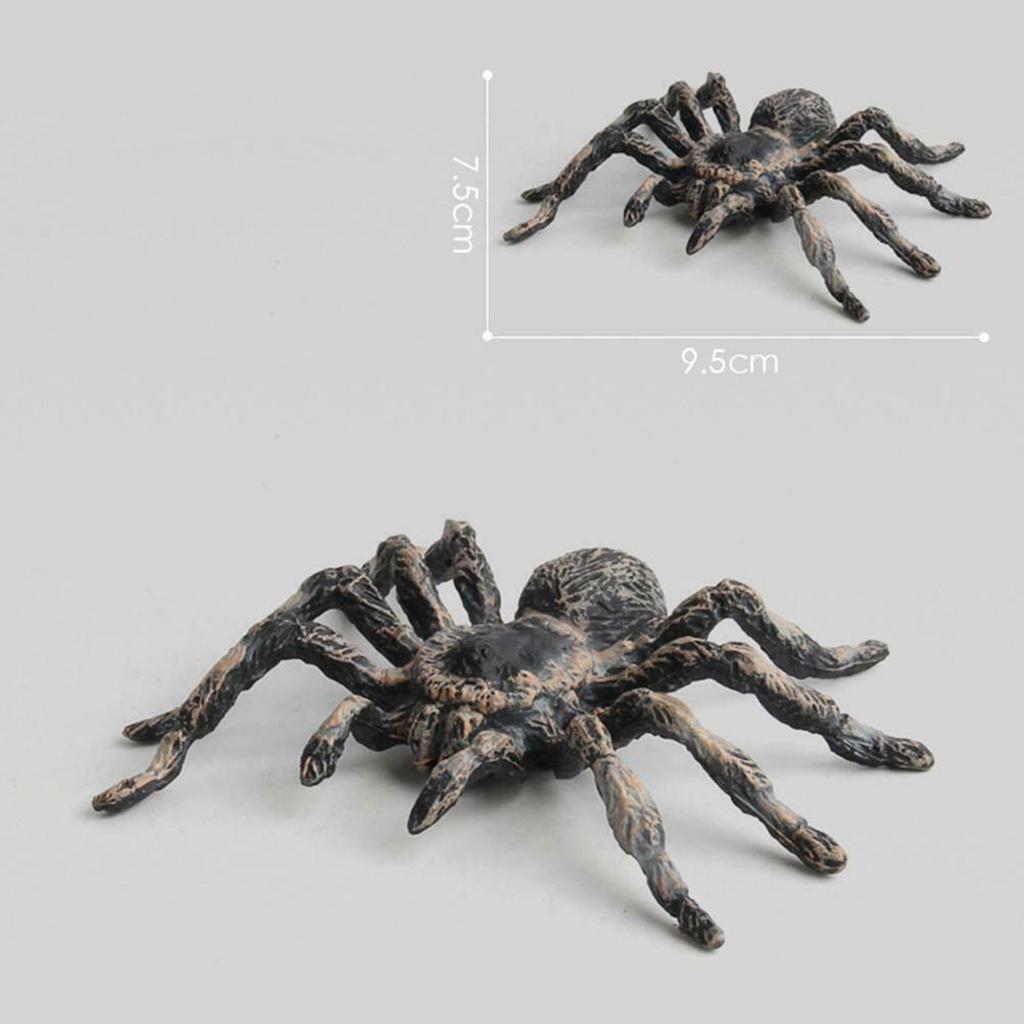 Realistic PVC Fake Tarantulas - Set of 2 by HitMyNeed