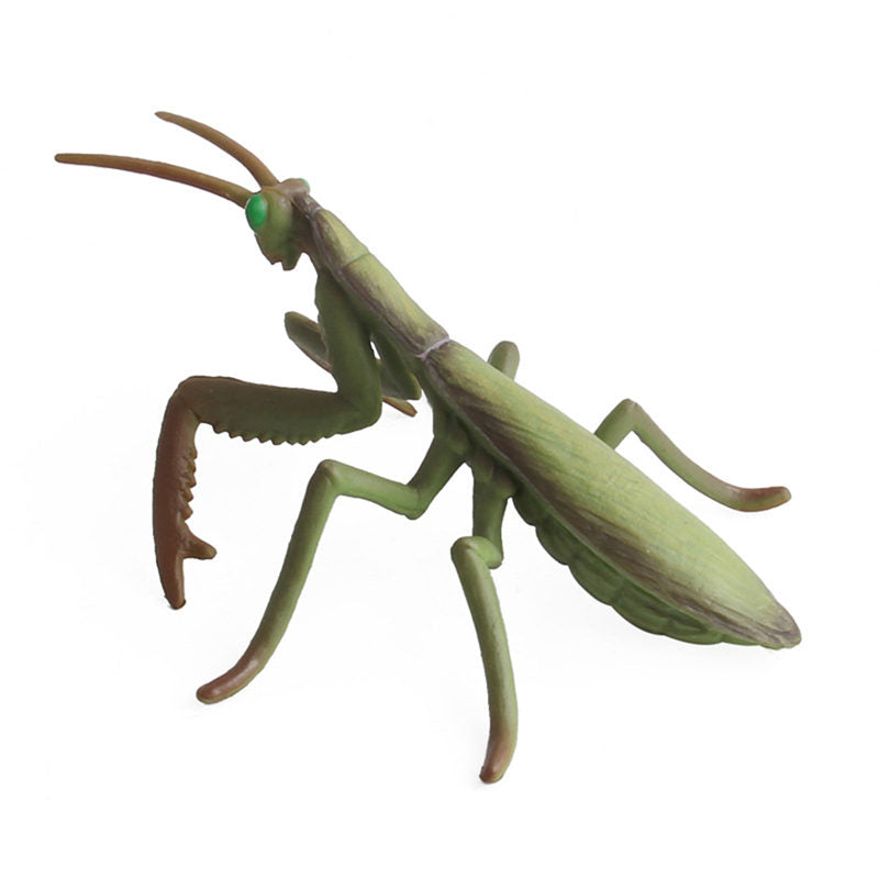 Realistic PVC Insect Model Toy 6 by HitMyNeed