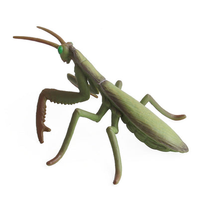 Realistic PVC Insect Model Toy 6 by HitMyNeed