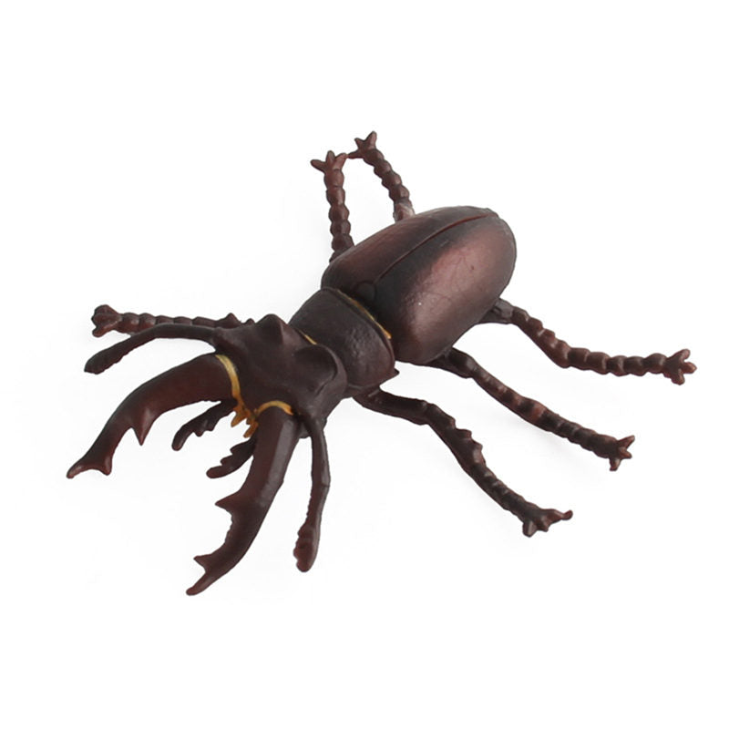 Realistic PVC Insect Model Toy 7 by HitMyNeed