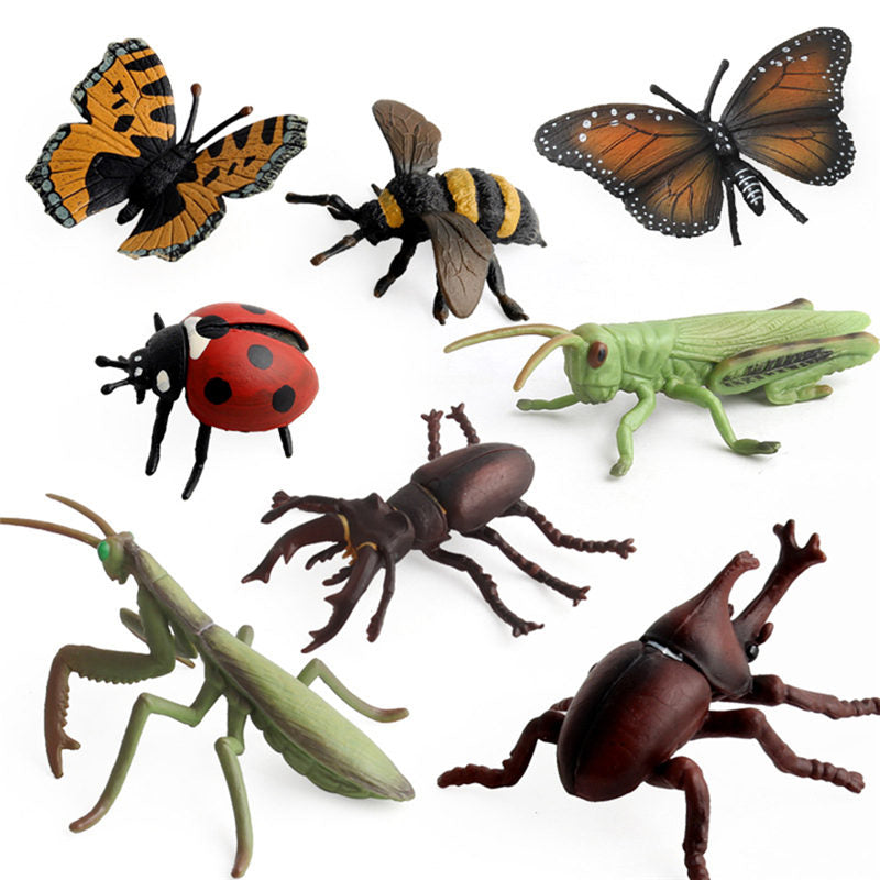 Realistic PVC Insect Model Toy by HitMyNeed