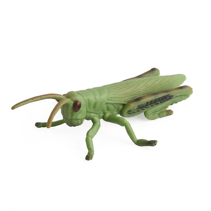 Realistic PVC Insect Model Toy pink by HitMyNeed