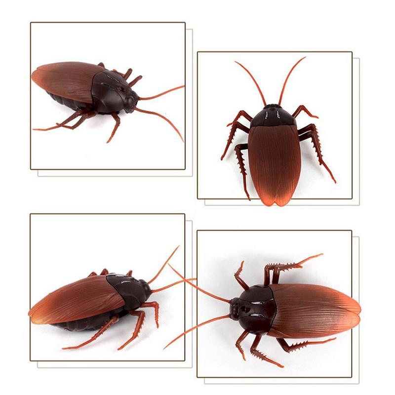 Realistic Remote Control Cockroach Prank Toy by HitMyNeed