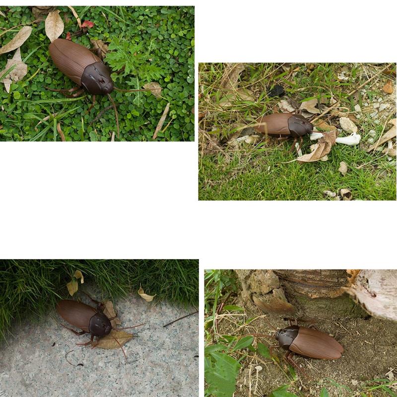 Realistic Remote Control Cockroach Prank Toy by HitMyNeed